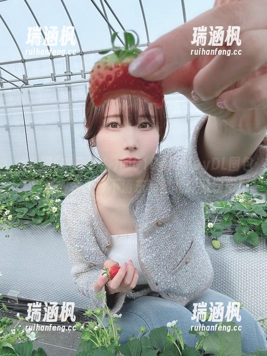 けん研(けんけん)的C104honeyDL图包，精选得令人分不清东南西北的柔软感！