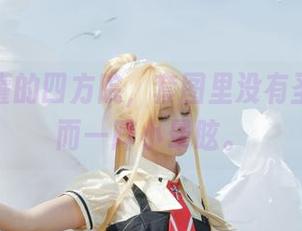 腥味猫罐的四方院，套图里没有圣光，反而一阵小晕眩。